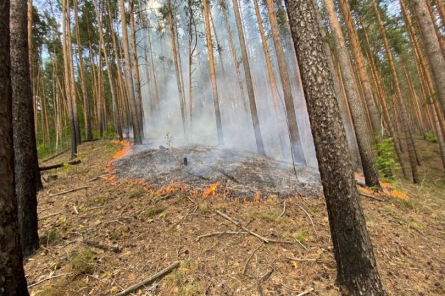Более трёх тысяч пожаров зафиксированы в Псковской области с начала года