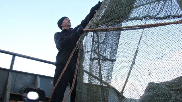 Меры поддержки разработаны для рыбаков в Крыму лишившихся выхода к морю
