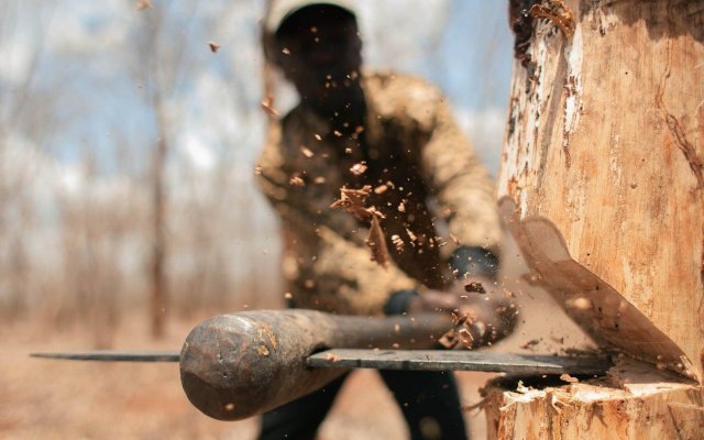 Уголовное дело возбуждено в Амурской области по факту незаконной вырубки деревьев