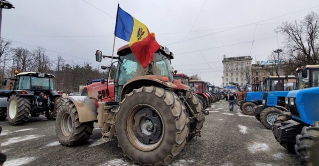 Фермеры из Молдавии настаивают на введении режима ЧП в сельскохозяйственном секторе