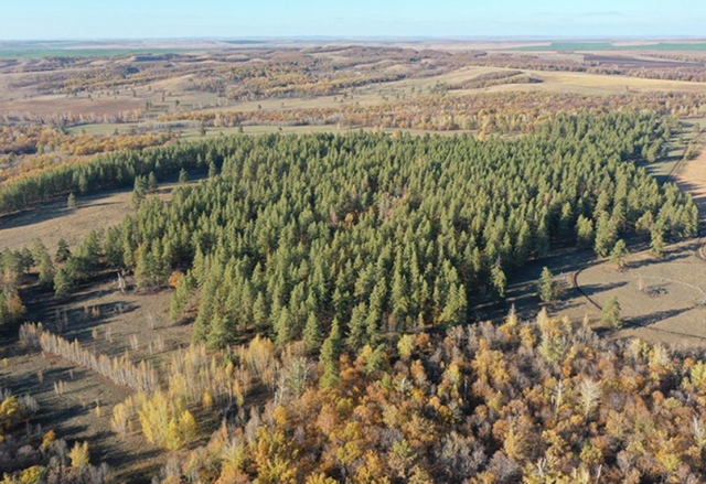 Новая особо охраняемая природная территория будет благоустроена в Оренбуржье
