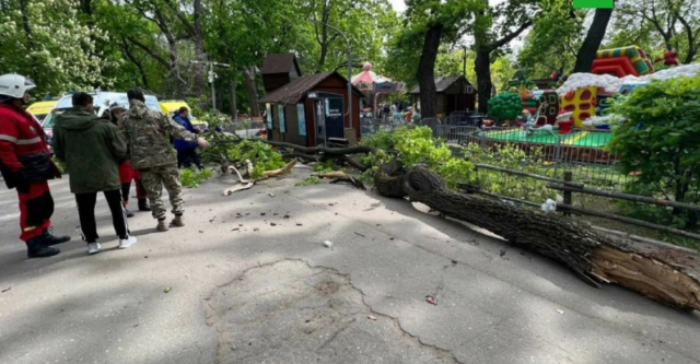 Девочка в Липецкой области серьёзно пострадала из-за упавшего на неё дерева