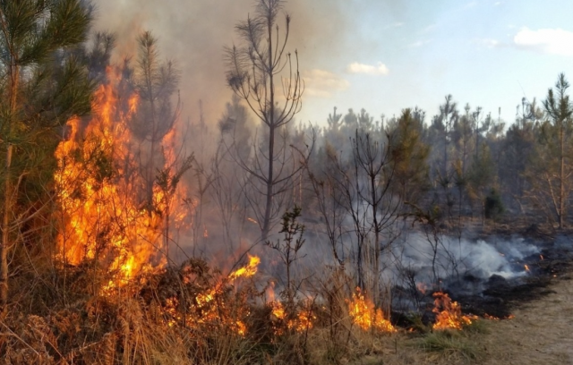 В Астраханской области официально завершился пожароопасный сезон