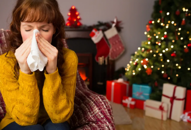 Остерегайтесь аллергии: рождественские елки могут спровоцировать реакцию, врачи предостерегают