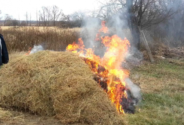 Житель Калининградской области задержан за поджог сена из мести
