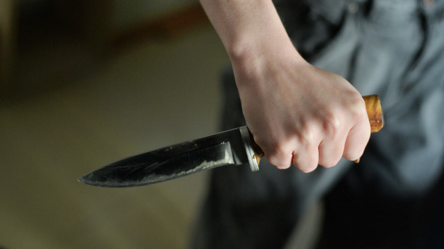 Житель Рязани обвиняется в нападении с ножом на знакомую и её сожителя