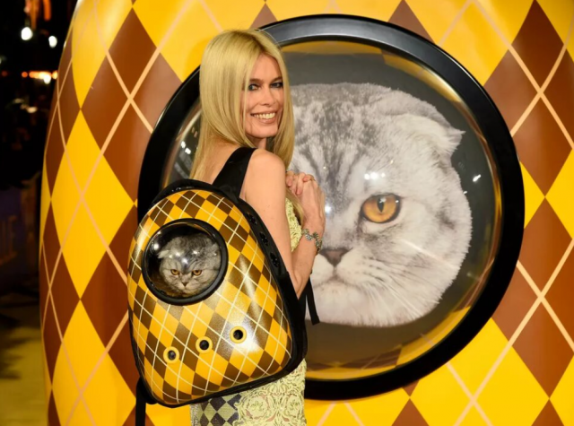 Клаудия Шиффер столкнулась с критикой со стороны ветеринаров за то, что привела кошку в рюкзаке на премьеру фильма