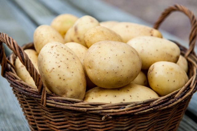Диетолог рекомендует отказаться от картофеля для тех, кто желает похудеть