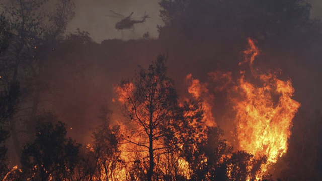 Чрезвычайное положение объявлено властями в Чили из-за сильных пожаров