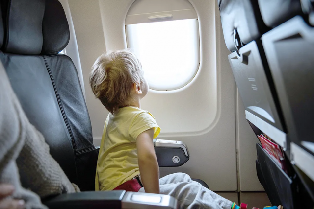 В Госдуме рассматривается проект по вопросу рассадки детей и родителей в самолёте