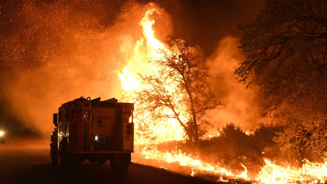 Крупнейший лесной пожар бушует в Техасе