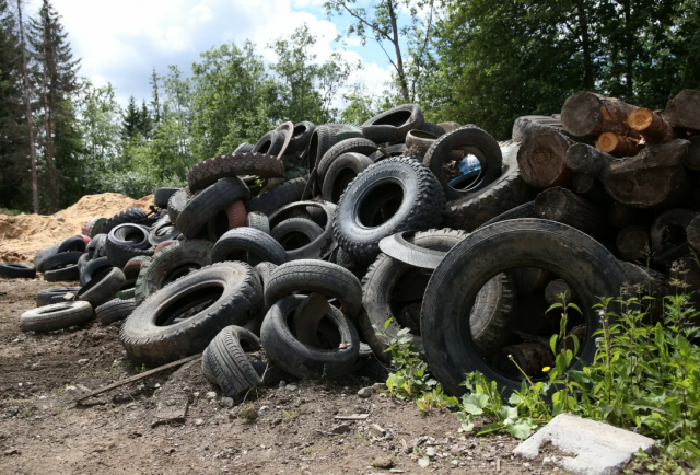 Фермерский участок в Калининградской области стал территорией незаконной свалки покрышек