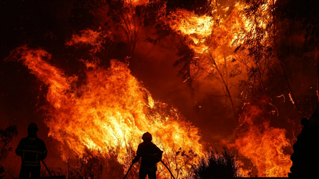 Учёные озвучили неочевидную причину усиления пожаров