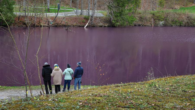 Необычный цвет приобрёл водоём в Баварии из-за природного явления