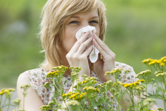 Аллерголог предупредил людей, подверженных аллергии о риске "пыльцовых бурь"