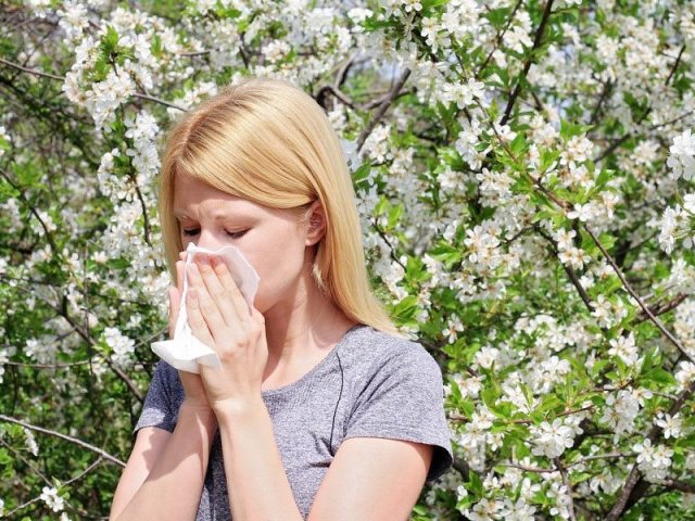 Врачи описывают опасности, связанные с сезонной аллергией