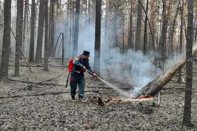 Ликвидация 28 природных пожаров завершена в Приморском крае