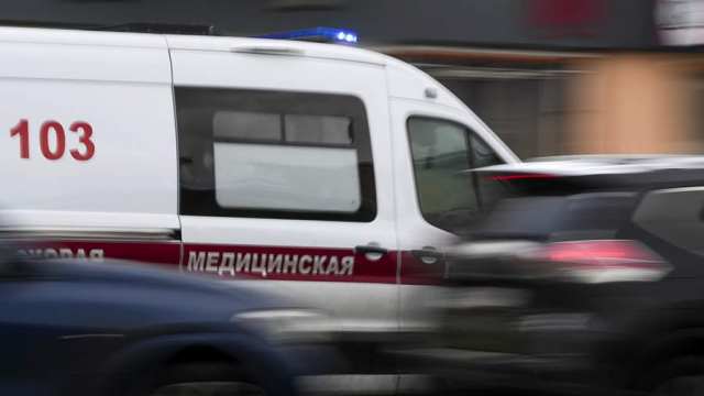 Жительница Санкт-Петербурга пострадала от нападения собаки
