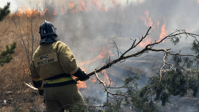 В Улан-Удэ из-за лесного пожара действует режим ЧС