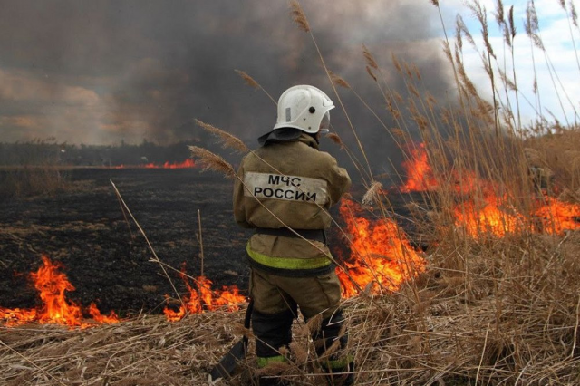 Штормовое предупреждение о чрезвычайной пожарной опасности объявлено на Кубани