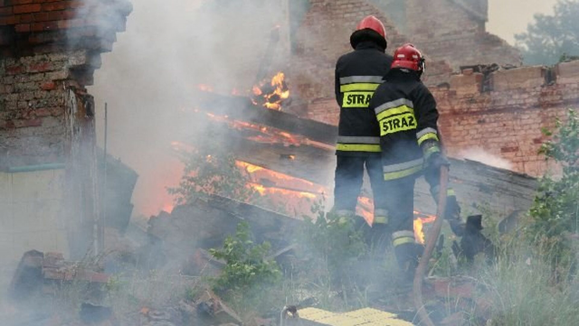 В Польше на свалке химических отходов произошёл крупный пожар
