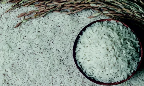 Министерство сельского хозяйства предлагает продлить запрет на экспорт риса до конца года
