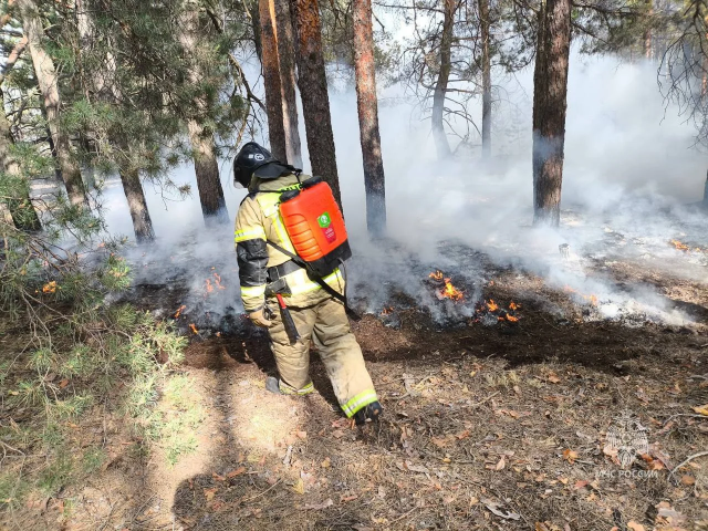 Природные пожары атакуют Ростовскую область