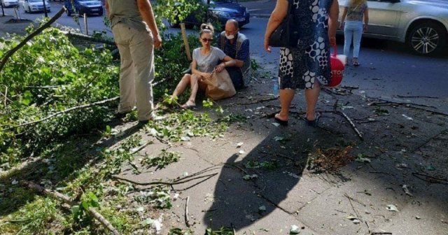 Дерево упало на девушку во время ливня в Москве