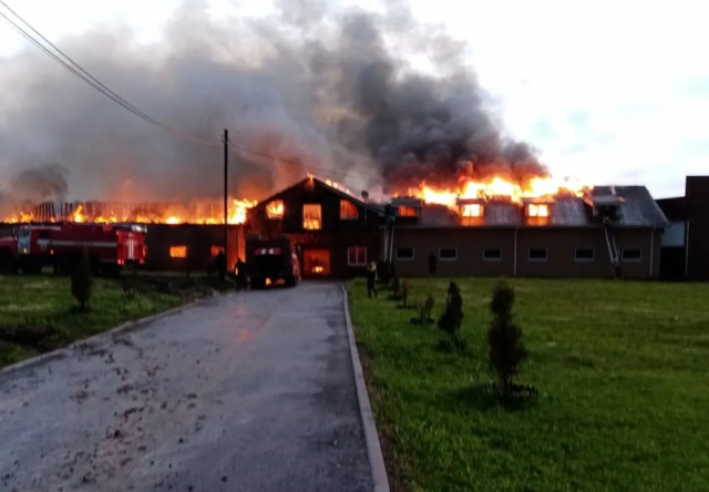 В Подмосковье пожарные успешно спасли 48 лошадей из горящей конюшни в Мытищах