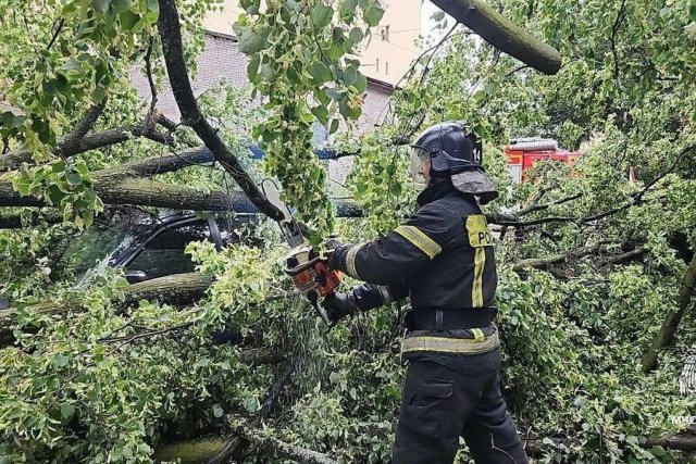 Следственный комитет начал проверку по факту гибели людей в результате урагана в Санкт-Петербурге