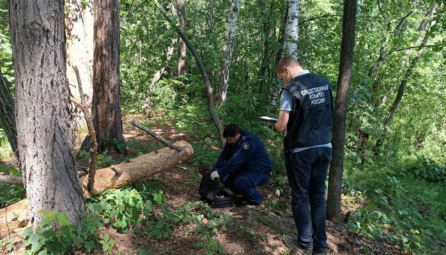 Ребёнок погиб из-за упавшего дерева на палатку с туристами