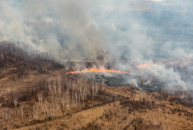 Заповедникам Амурской области грозит опасность из-за пожаров