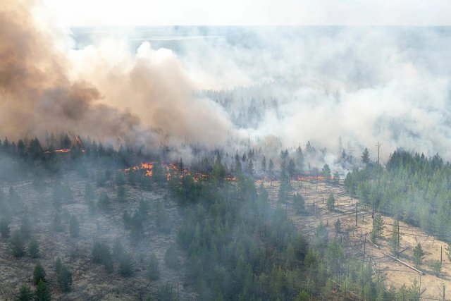 Более 50 населенных пунктов Якутии пострадали от дыма лесных пожаров