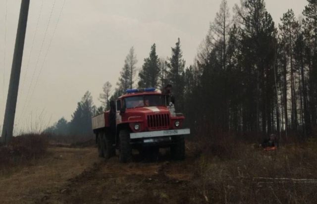 Пожар на площади 110 гектаров в Бурятии удалось локализовать — МЧС