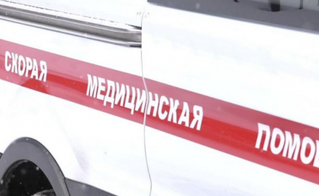 На Сахалине женщину будут судить за гибель человека после нападения собак
