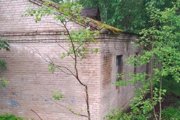 Ребёнок погиб во время пожара в заброшенной бане в Ленинградской области