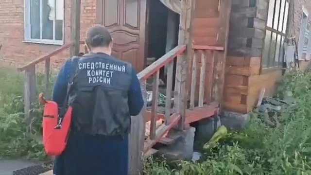 В Ростовской области возбуждено уголовное дело после нападения собаки на ребенка