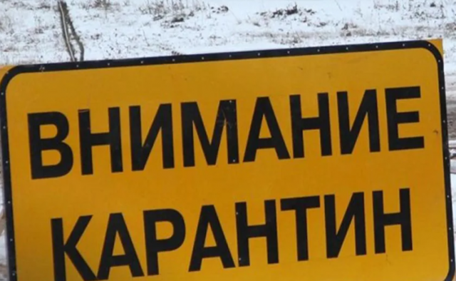 В Тюменской области зафиксирован случай бешенства: введён карантин