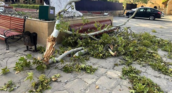 В Дагестане возбудили уголовное дело после гибели туристки в Дербенте