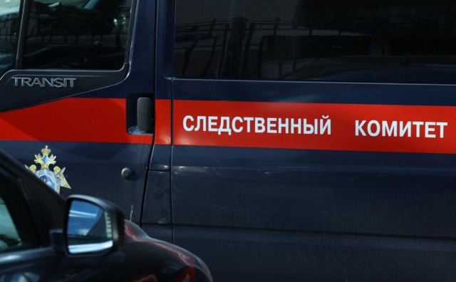В Алтайском крае обнаружено тело убитой восьмимесячной девочки, возбуждено уголовное дело