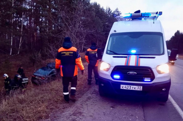 Под Псковом автомобиль вылетел в кювет: пострадали водитель и две девушки-подростка