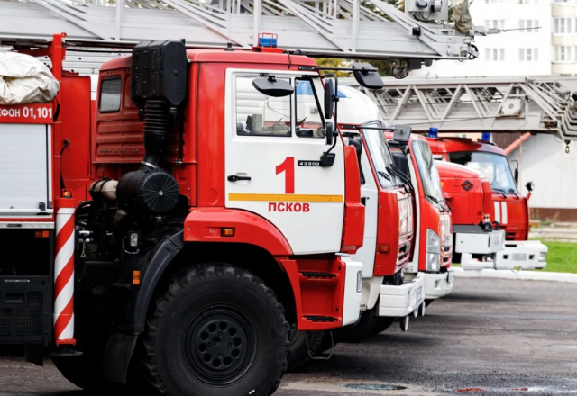 В Псковской области при пожаре в частном доме погибли два человека