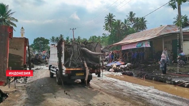 Наводнение в Индонезии поставило под угрозу выживание тапанулийских орангутанов