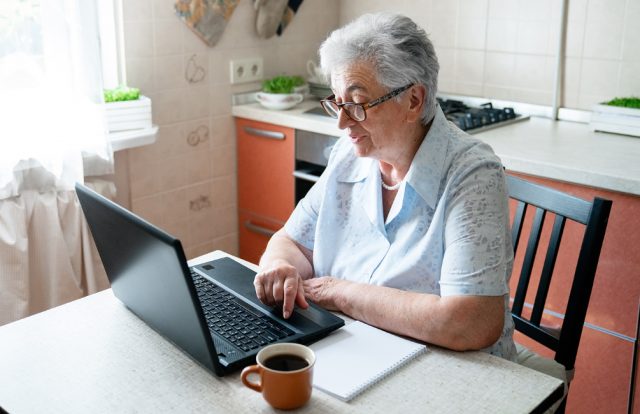В России будут развивать удаленную работу для пенсионеров