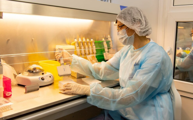 Роспотребнадзор назвал минимальными риски завоза парапоксвируса из Швеции