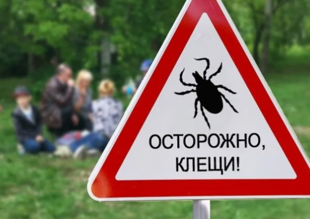 Жителей Хабаровского края предупредили о начале сезона клещей