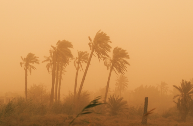 Песчаная буря в Египте вынудила туристов покинуть пляжи