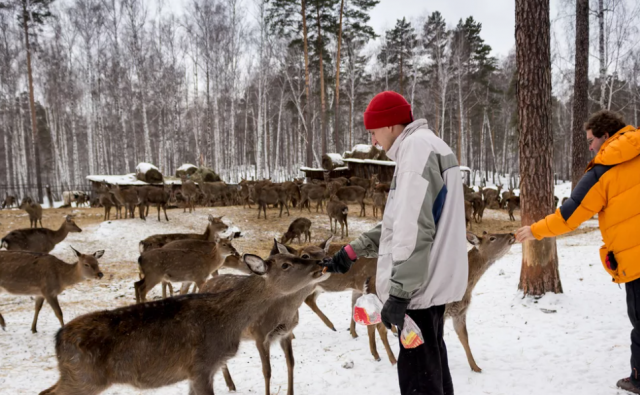 Юрист напомнил о штрафах за кормление диких животных в городах