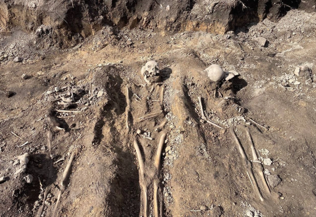 В Ленинградской области обнаружено захоронение мирных жителей, погибших в годы войны