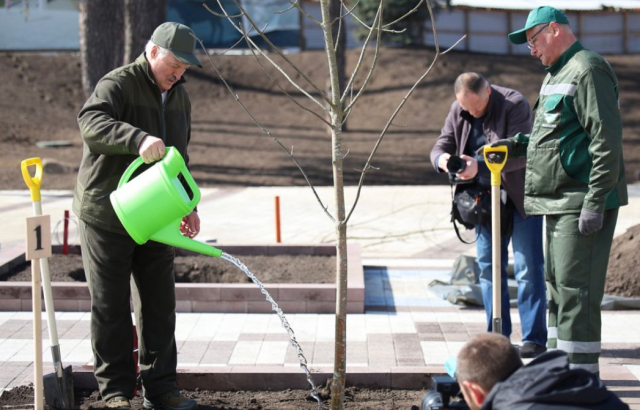 Лукашенко вместе с сыном поучаствовал в субботнике и посадке деревьев